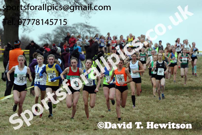 Womens under-17s 2018 Northern Cross Country Champs., Harewood House, Leeds. Photo: David T. Hewitson/Sports for All Pics